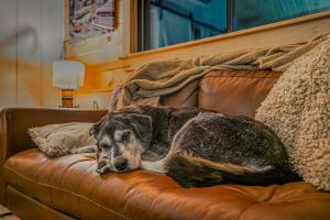 Charming Cabin with Private Hot Tub Near Red River Gorge in Campton, Kentucky