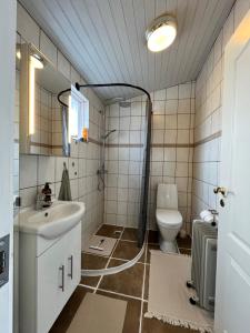 Cozy Cabin Iceland
