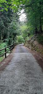 Natural Lodge Maso Baseta