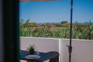 Casa do Mar - Almograve - Magnífico terraço com vista para o campo