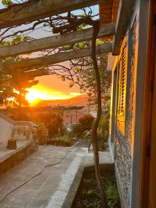Casa das Flores Garden