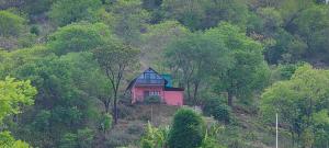 Dreamescape hillview homestay