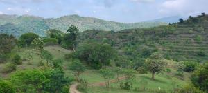 Dreamescape hillview homestay