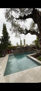 Villa Steana