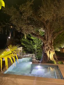 Villa Steana