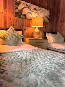 Snow14 - Dog Friendly - Hot tub--Tenby-Pendine