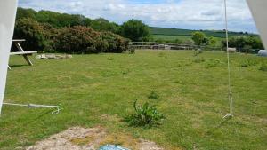 Willowbank farm rare breeds rescue