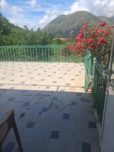 Apartament Dukat Albania