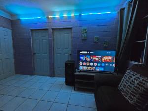 Apartment with its own 100-inch cinema