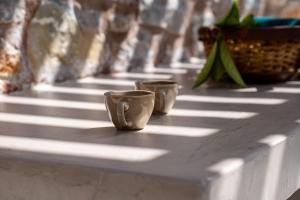Vedema Homes