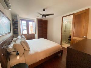 Tropicool Loft with rooftop steps from Casco