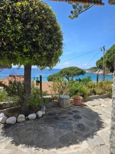 Appartamenti Vanacore