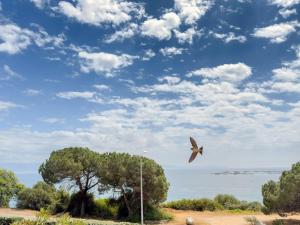 "A Punta Pastinaca" – Front de Mer | by Efficios