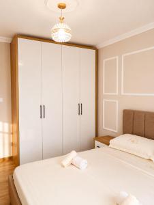 Central Vista Apartment Shkodra