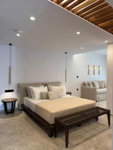 Anora Naxos Suites