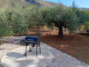VILLA FICURINIA Castellammare del Golfo con Piscina ad uso esclusivo