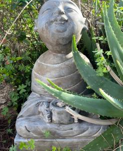 La quiete img11