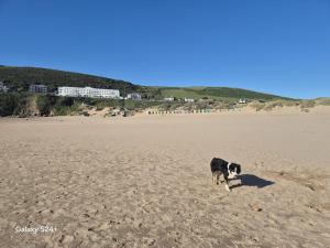 North Devon Coast Holiday Lodge, Dog Friendly