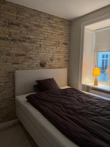 Modern 1BR In Prime Downtown Location