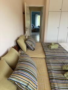 Elies House