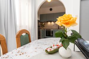 Apartments Tonja