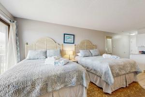 Oceanfront studio with lovely views AC & great location - dogs welcome