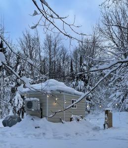 Yooperlite House
