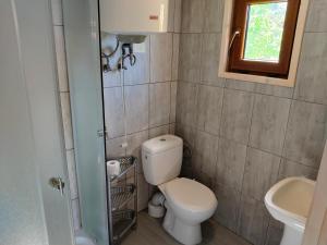 Pod starą chatą