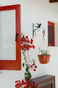 Traditional Village Apartments in Agios Theodoros Near Beach by Cyprus Horizons