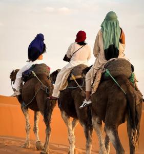 Elite merzouga dunes camp