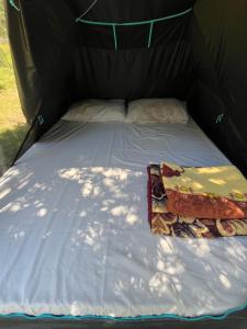Waveside Camping