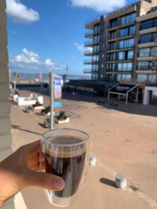 Ruim appartement met zijdelings zeezicht vlak aan de dijk