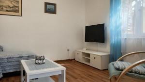 Tihana-ground floor with large terrace