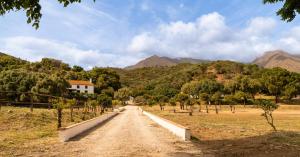 Finca Santa Teresa, Casa Grande