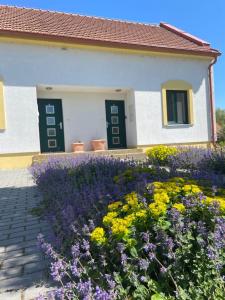 Apartmány Belveder