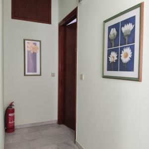 Dimitras Home