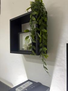 Genova 3 Pet Friendly Flat img29