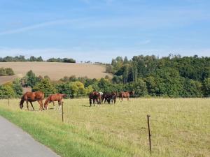 Landliebe