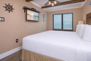 Island Winds East 702