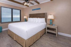 Island Winds East 702