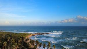 Coconut Tree hill Rekawa