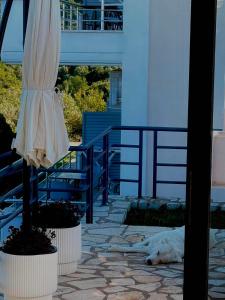 Belvedere Hotel & Suites