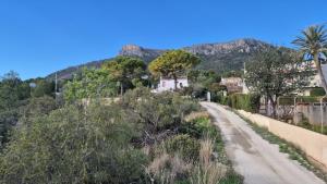 Casa Benicolada 0204