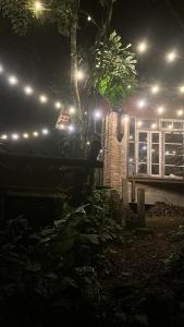 Cabanas Pouso Alto