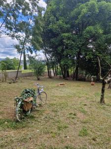 Appartement RDC Le Brin de soleil, Gite l Echapée Belle