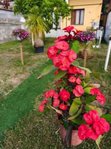 Il Giardino di Marcello