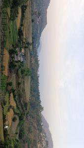 Shree mangalam homestay