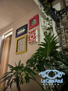 La Casa Azul Hostal