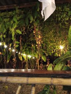 El Encanto Eco-Hotel Glamping