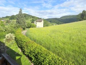 Apartment in Reigoldswil